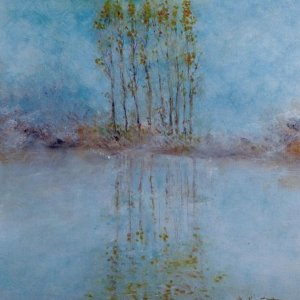 Immagine della pagina Pioppi