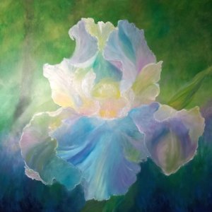 Immagine della pagina Riverbero dell'iris